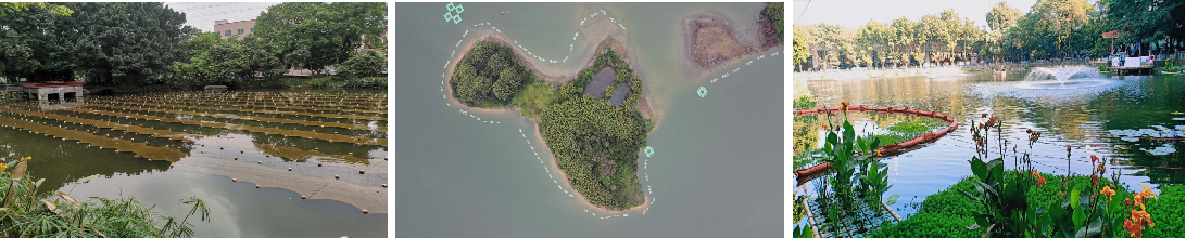 水庫水體治理修復(fù)